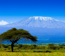 Kilimanjaro